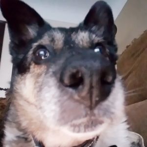 Meet your Posher, Jeanne